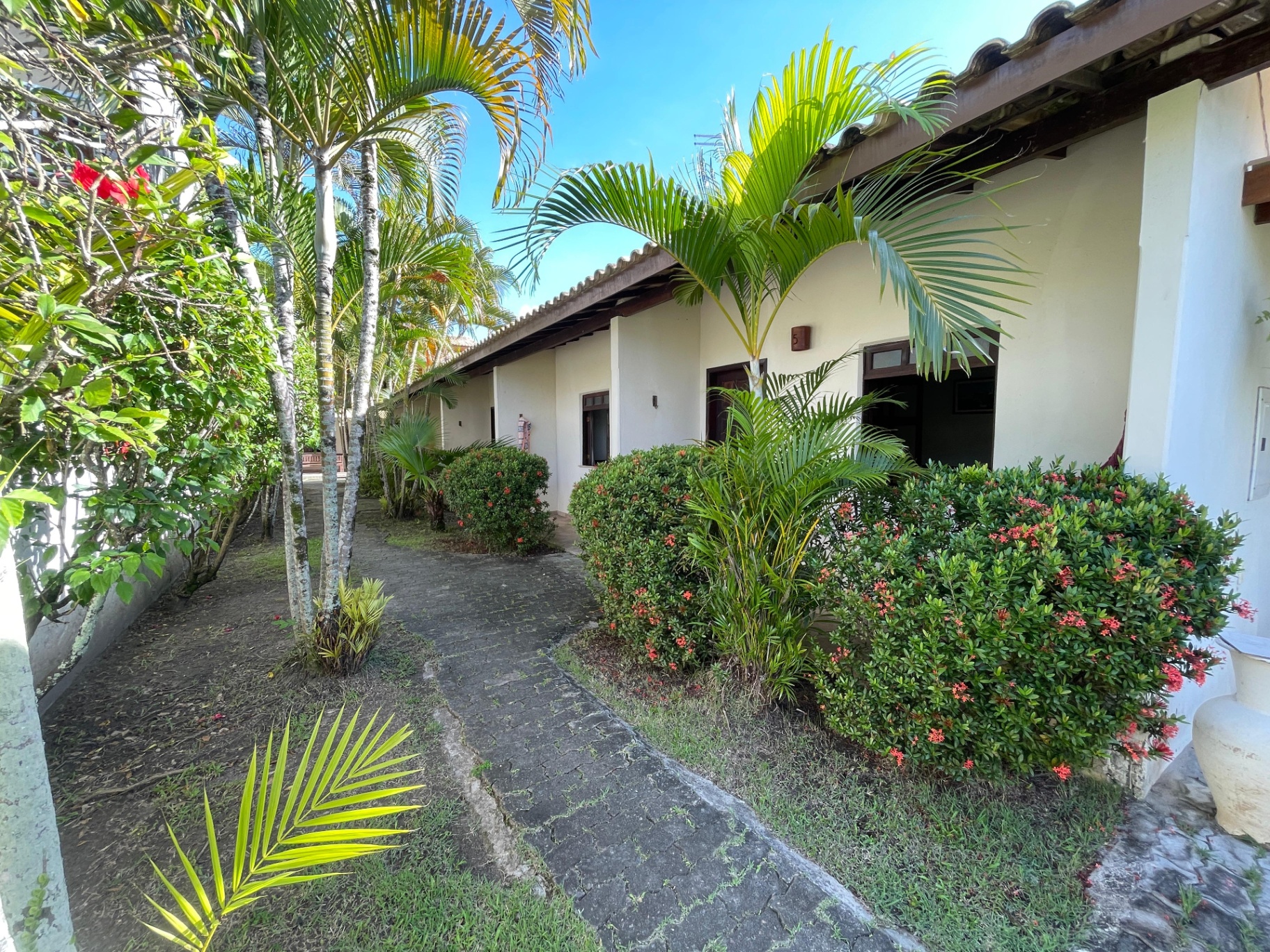 Caminho lateral arborizado com palmeiras e flores