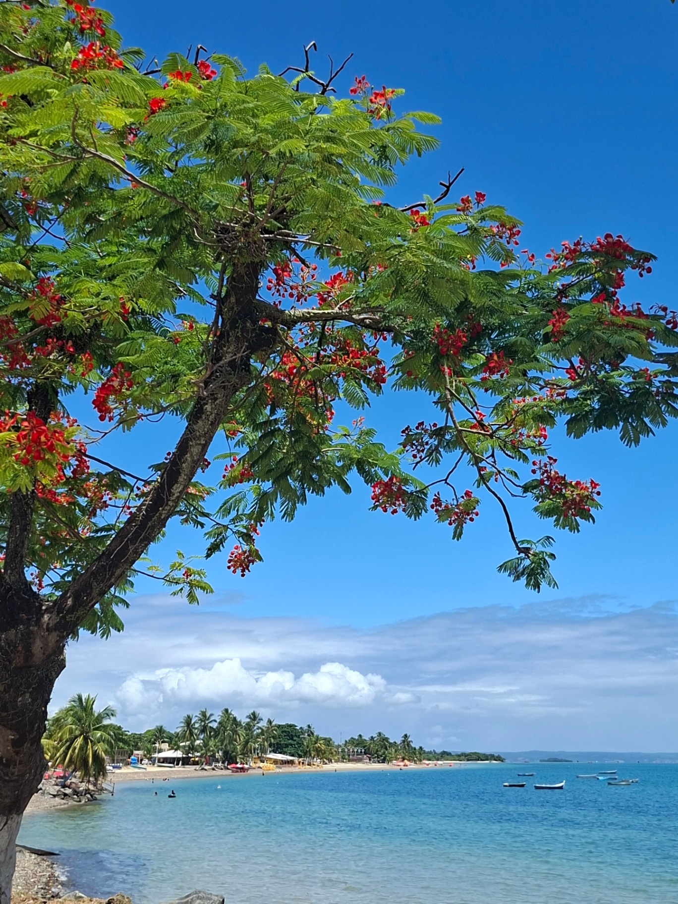 Praia da Ponta de Areia, Ilha de Itaparica — mar azul e areia